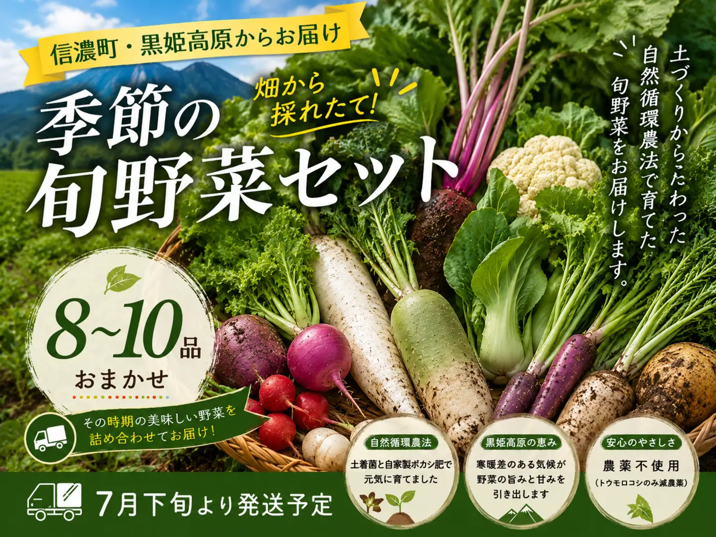 【朝採れ直送】こだわりの土作りが育てた安心野菜セット 厳選8~10品 みつぶ農園 朝採り【季節の旬野菜詰合せ】※７月下旬発送予定
