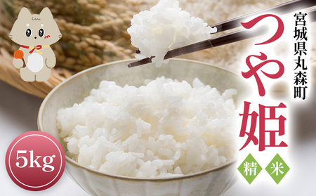 令和7年産 宮城県丸森町 つや姫 精米 ５ｋｇ【5400101】