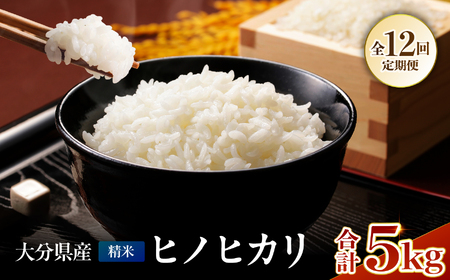 【定期便12回】お米 ヒノヒカリ 精米 5kg | 米 おこめ こめ ひのひかり 白米 5キロ 国産米 おいしいお米 定期 定期便 大分県産 九州産 中津市