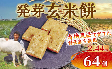 餅 玄米餅 64個 個包装 発芽玄米 餅