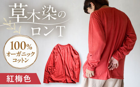 kito オーガニックコットン ロンT 【紅梅色】 / オーガニック コットン 綿100　手染め 草木染め ロンＴ ロングＴシャツ 長袖 ロングスリーブ トップス ファッション インナー 女性用 レディース ギフト 贈答 プレゼント / 大村市 / ISTIST[ACZW041]