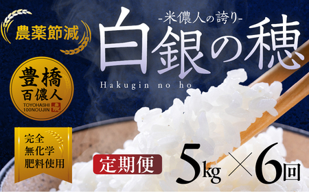 令和7年産【定期便】白銀の穂 5kg×6回 お米