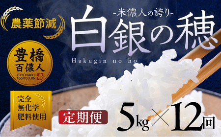 令和7年産【定期便】白銀の穂 5kg×12回 お米