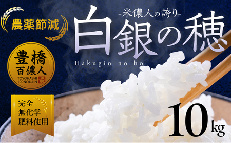米 令和7年産 白銀の穂 10kg 白米
