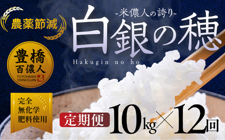 令和7年産【定期便】白銀の穂 10kg×12回 お米