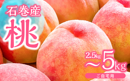 ≪先行予約 2026年発送≫ 石巻産桃 5kg もも