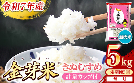 【定期便】BG無洗米・金芽米きぬむすめ 5kg×3ヵ月  [毎月] 計量カップ付き 令和7年産 3ヶ月 計15kg 東洋ライス 健康 島根県 安来市 【価格改定XA】【45-SS-57】