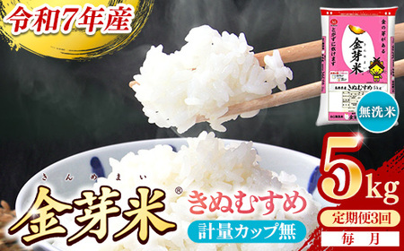 【定期便】BG無洗米・金芽米きぬむすめ 5kg×3ヵ月  [毎月] 計量カップなし 令和7年産 3ヶ月 計15kg 東洋ライス 健康 島根県 安来市 【価格改定XA】【45-SS-57-2】