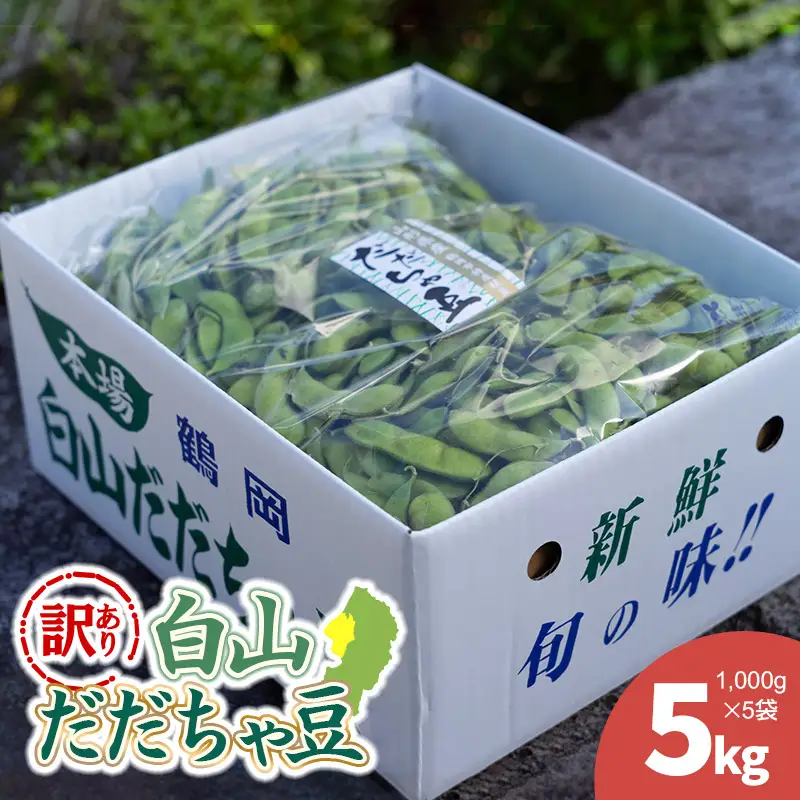 【令和8年産先行予約】【訳あり】白山だだちゃ豆　5kg（1kg × 5袋）　長五郎