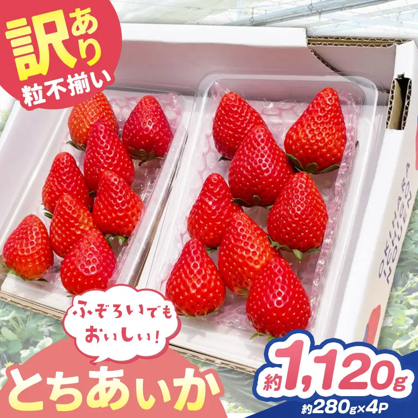 訳あり 粒不揃い とちあいか 1,120g (280g×4P) | 栃木県 矢板市 澳原いちご農園