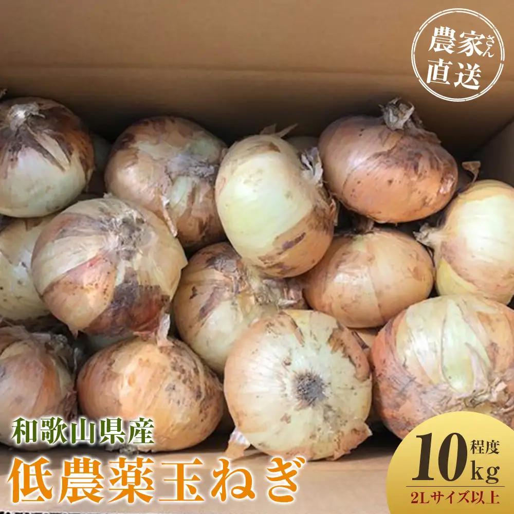 ［2026年発送分・先行予約］農家さん直送 低農薬玉ねぎ 2Lサイズ以上 10kg程度［4月中旬～7月中旬頃発送予定］［KF15］