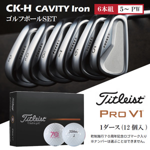 キャビティアイアンCK-H（＃5-PW）＆ゴルフボールV1（１ダース）310BD01S.／ゴルフ ゴルフクラブ アイアン アイアンセット ゴルフボール タイトリスト ゴルフテック叡知 地クラブ  