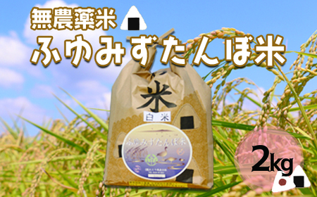 宮城県産 無農薬白米「ふゆみずたんぼ米」2kg｜大崎市田尻のブランド米・ご飯に最適【精米済・送料無料】