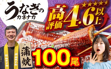 国産うなぎ蒲焼 100尾 訳あり 大容量 うなぎ