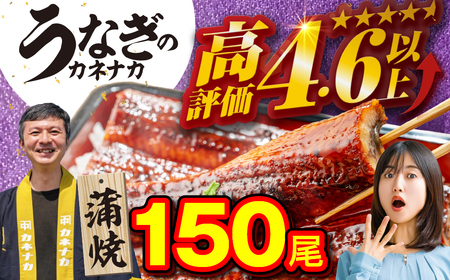 国産うなぎ蒲焼 150尾 訳あり 大容量 うなぎ
