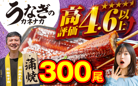 国産うなぎ蒲焼 300尾 訳あり 大容量 うなぎ