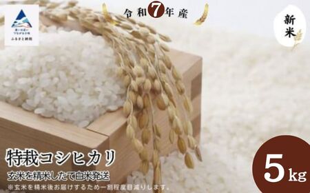 特栽コシヒカリ 精米 白米（玄米5㎏ 精米したて白米発送） こしひかり