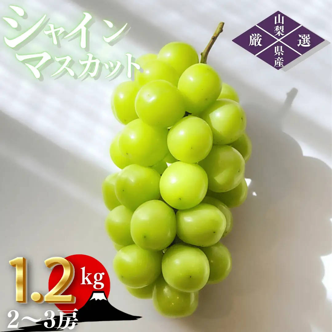 【2026年発送★先行予約】笛吹市産　厳選シャインマスカット［1.2kg］（2～3房）フルーツ大国！山梨県笛吹市より産地直送 209-003-26y OUTTA REACH JAPAN