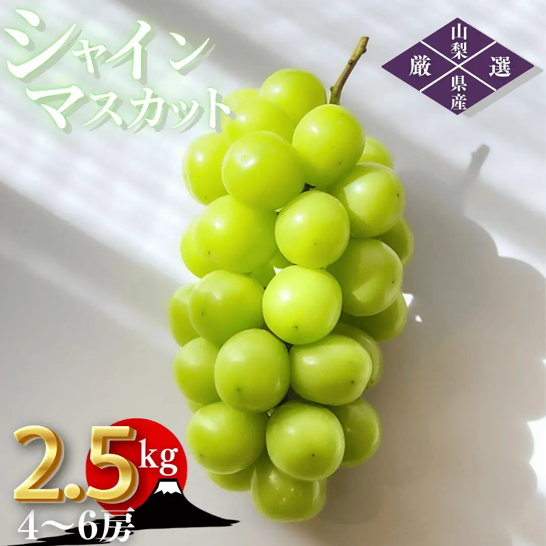 【2026年発送★先行予約】笛吹市産　厳選シャインマスカット［2.5kg］（4～6房）フルーツ大国！山梨県笛吹市より産地直送 209-004-26y OUTTA REACH JAPAN