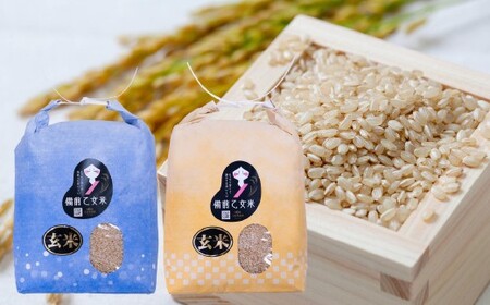 備前乙女米 玄米 5kg×2袋 合計10kg 米 お米 コメ 特A 岡山県 倉敷市【2026年10月下旬～2027年9月下旬迄発送予定】