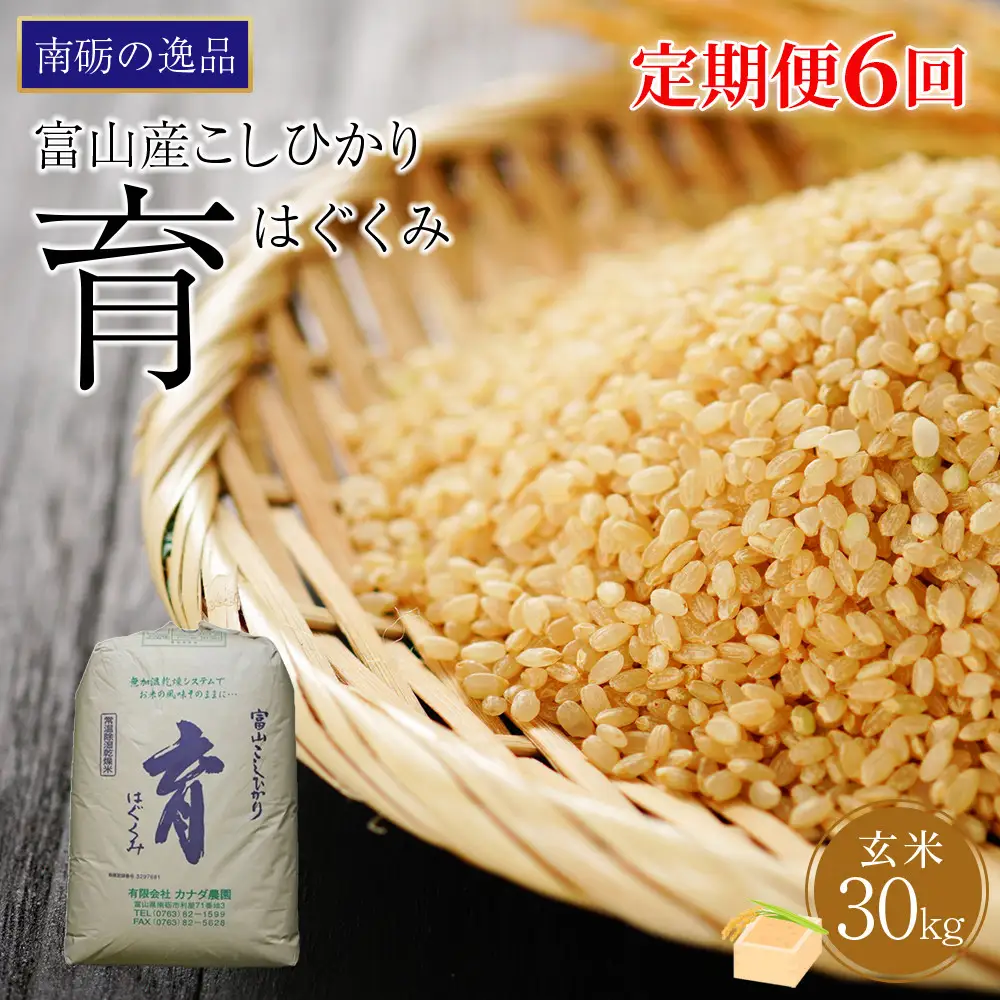 【令和7年産】定期便・隔月６回  富山県産こしひかり 育（はぐくみ）玄米３０kg《南砺の逸品》