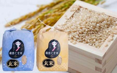 備前乙女米 玄米 2kg×2袋 合計4kg 米 お米 コメ 特A 岡山県 倉敷市【2026年10月下旬～2027年9月下旬迄発送予定】