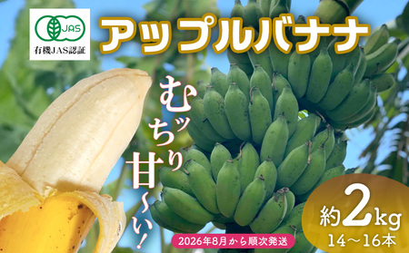 バナナ【2026年発送】宜野座村産 有機JAS認証のアップルバナナ 約2kg 