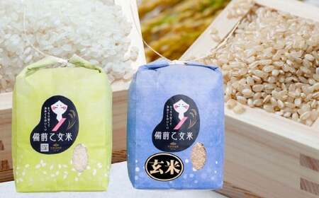 備前乙女米 白米2kg×1袋・玄米2kg×1袋 合計4kg 米 お米 白米 玄米 コメ 特A 精米 岡山県 倉敷市【2026年10月下旬～2027年9月下旬迄発送予定】