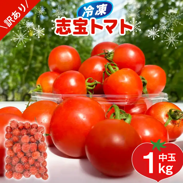 訳あり 野菜 トマト 冷凍志宝トマト（シンディスイート）中玉 1kg [モアショップヤマモト 石川県 宝達志水町 38601219]