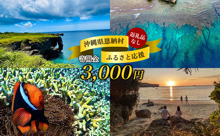 【返礼品なし】沖縄県恩納村ふるさと応援寄附金 3000円 