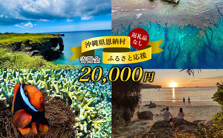 【返礼品なし】沖縄県恩納村ふるさと応援寄附金 20000円 
