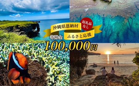 【返礼品なし】沖縄県恩納村ふるさと応援寄附金 100000円 