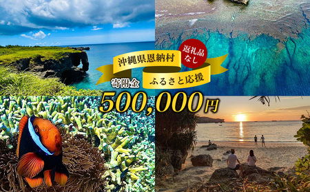 【返礼品なし】沖縄県恩納村ふるさと応援寄附金 500000円 