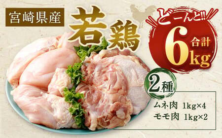 ＜宮崎県産若鶏6kgセット＞翌月末迄に順次出荷【c430_hn_x4】