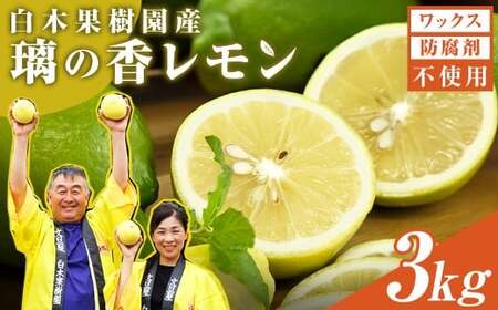 【先行予約】レモン 約3kg 8?15個〈2026年10月下旬?12月上旬頃発送〉  /  璃の香レモン 果物 くだもの 柑橘 フルーツ れもん お取り寄せ 産地直送 おいしい 美味しい 白木果樹園 常温 配送 高知県 高知 土佐市【白木果樹園】 [BQAI025]