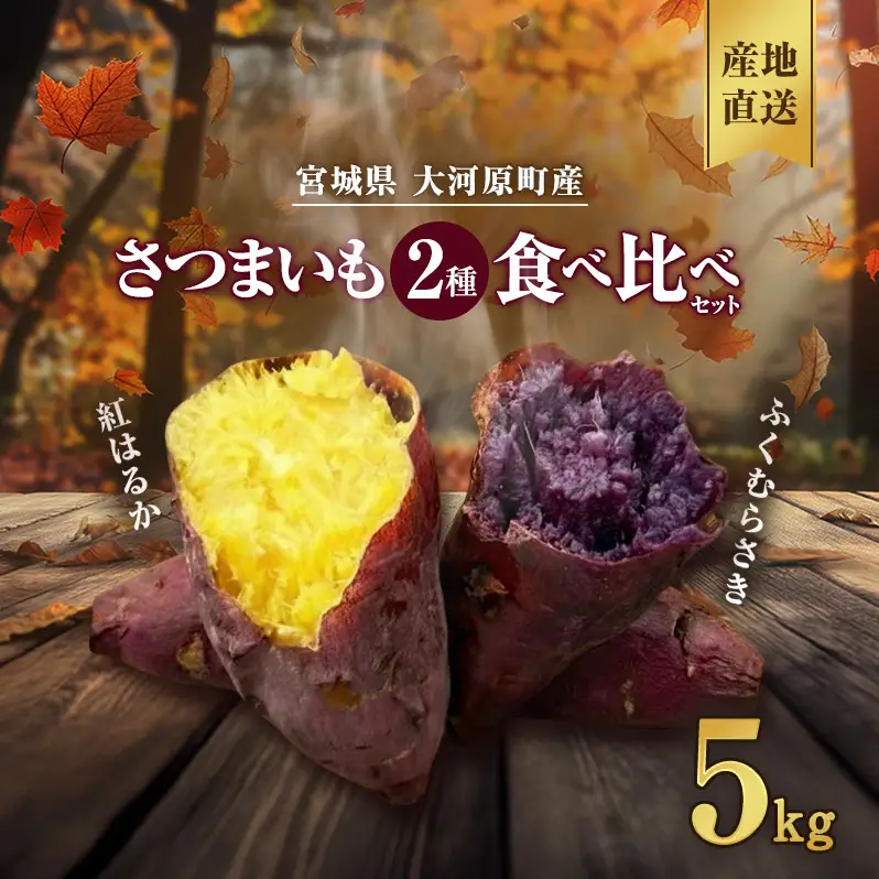 さつまいも 約5kg 2種詰合せ 紅はるか ふくむらさき サツマイモ 宮城県産 甘い 秋 冬 スイーツ 産地直送 宮城県 大河原町