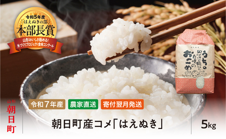 はえぬき 令和7年産 5kg （1袋） 2025年産 農家直送 精米 こめ コメ 山形県 朝日町産