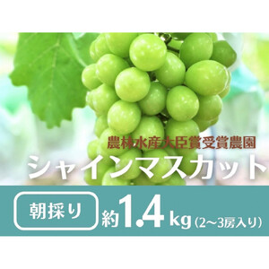 【先行予約2026年8月頃発送】大府市産　シャインマスカット1.4kg(2～3房入）