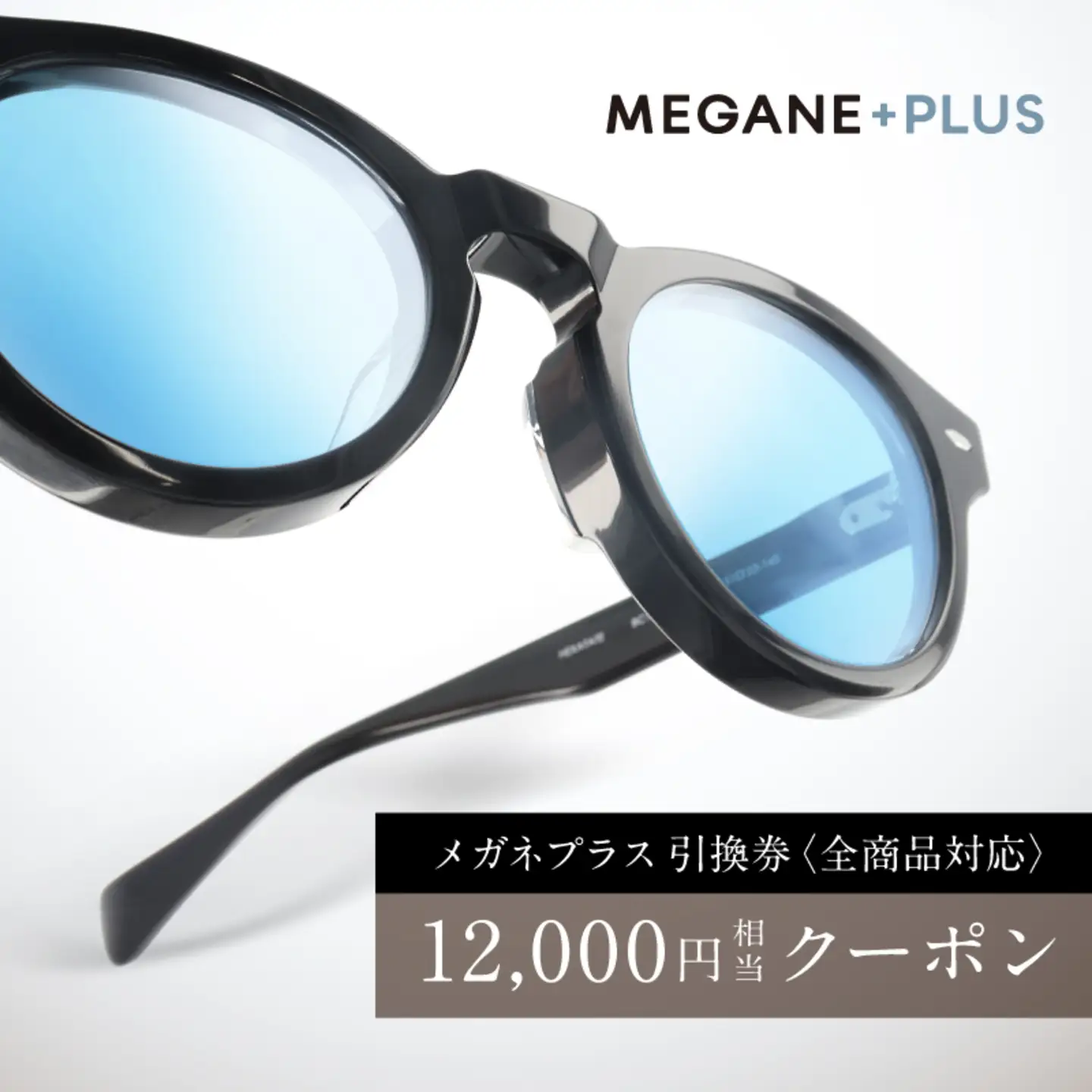 プレミアムオンラインギフトチケット(12000円分相当） 