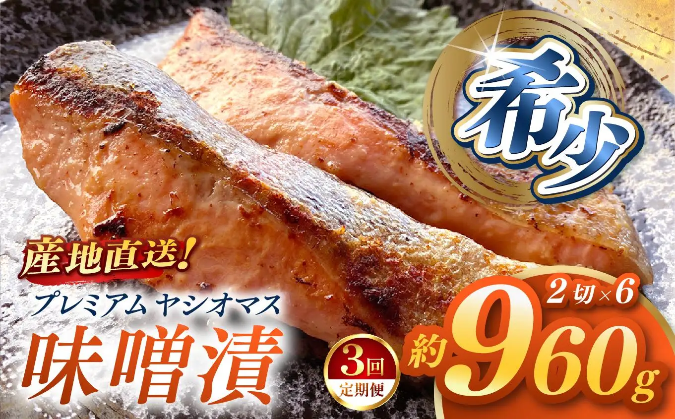 【定期便3回】「プレミアムヤシオマス」の味噌漬 2切入×6パック  [ 冷凍便 ] | 魚 ます 養殖 産地直送 栃木県 (毎月お届け）