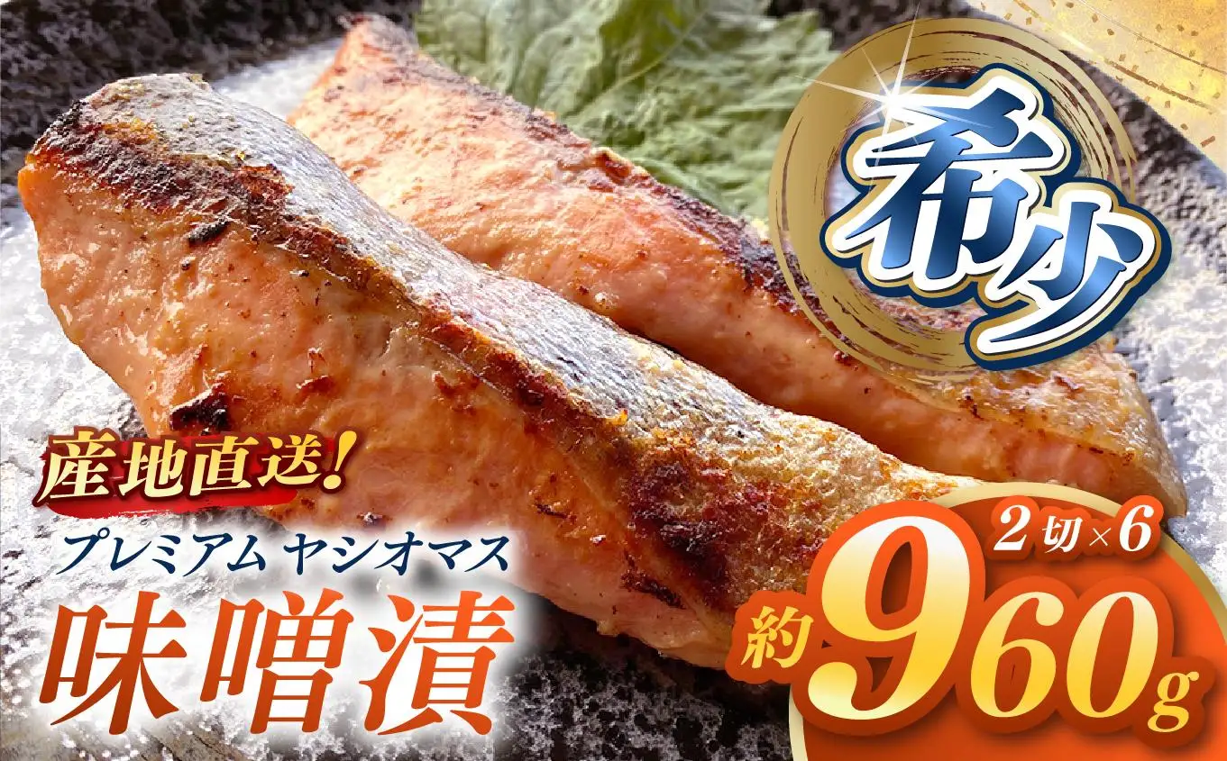 「プレミアムヤシオマス」の味噌漬 2切入×6パック  [ 冷凍便 ] | 魚 ます 養殖 産地直送 栃木県