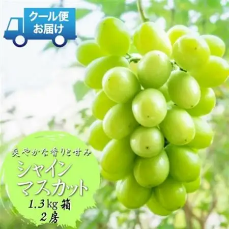 　2026年発送　山梨県山梨市　安心のクール便発送　シャインマスカット 1.3kg 　2房【配送不可地域：離島・沖縄県】【1671620】