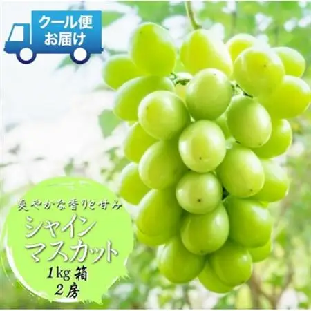 　2026年発送　山梨県 山梨市　安心のクール便発送　シャインマスカット 1kg 　2房【配送不可地域：離島・沖縄県】【1671621】