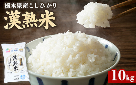 令和7年産 栃木県産コシヒカリ 「漢熟米」10kg（5kg×2袋） 〔P-416〕 ｜ 米 精米 お米 こめ 単一米