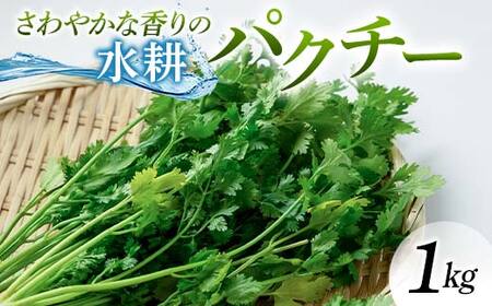 さわやかな香りの水耕パクチー 1kg F6U-277
