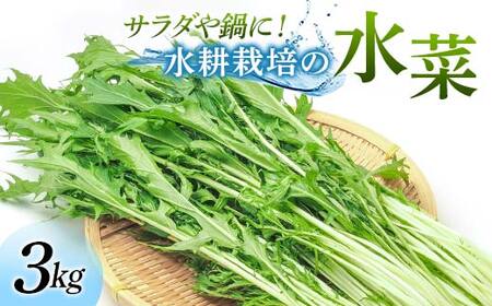 サラダや鍋に！水耕栽培の水菜 3kg F6U-283