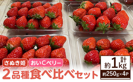 ＜期間限定！2026年2月上旬以降順次発送予定＞いちご2品種食べ比べセット(約250g×4P・約1kg) 食べ比べ セット 産地直送 新登場 【man347】【クズハラ農園】
