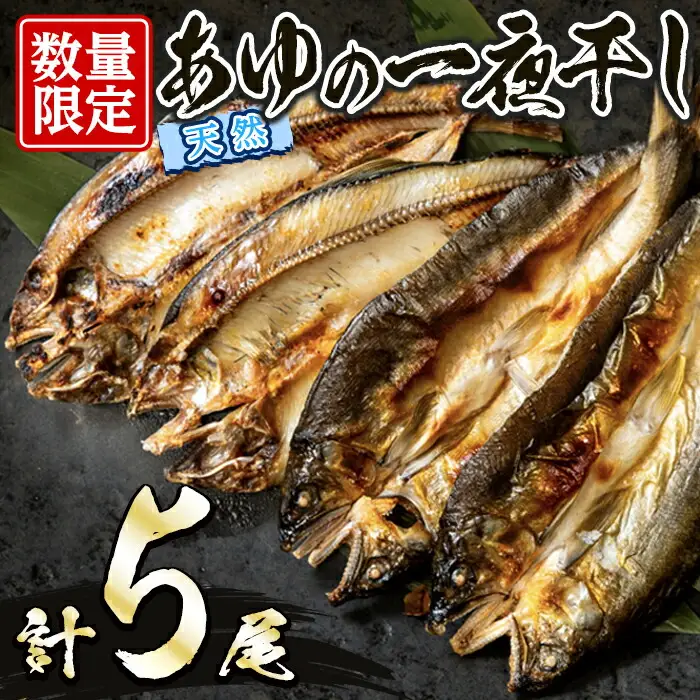久慈川産 天然あゆの一夜干し 鮎 魚介 川魚 【木村信次商店/丸信ドライブイン】【ho1551】