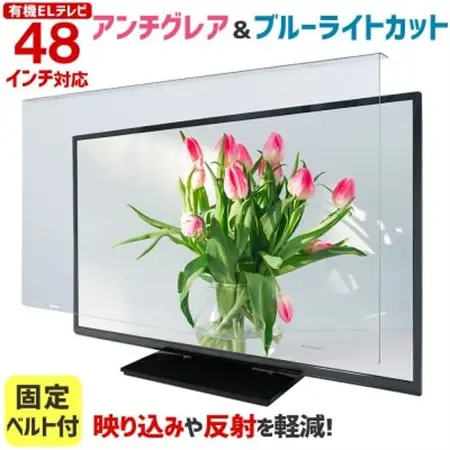 大阪府和泉市　有機ELテレビ48インチ用　テレビ画面保護パネル　アンチグレアタイプ　テレビガード【1669354】