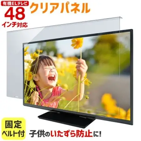 大阪府和泉市　有機ELテレビ48インチ用　テレビ画面保護パネル　クリアタイプ　テレビガード【1669374】